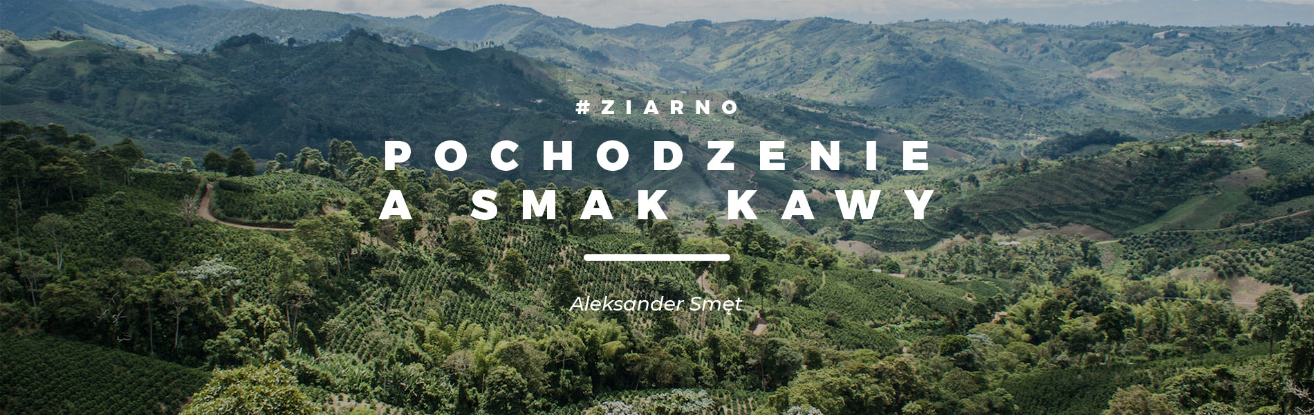 Pochodzenie kawy a smak - mini przewodnik po originach