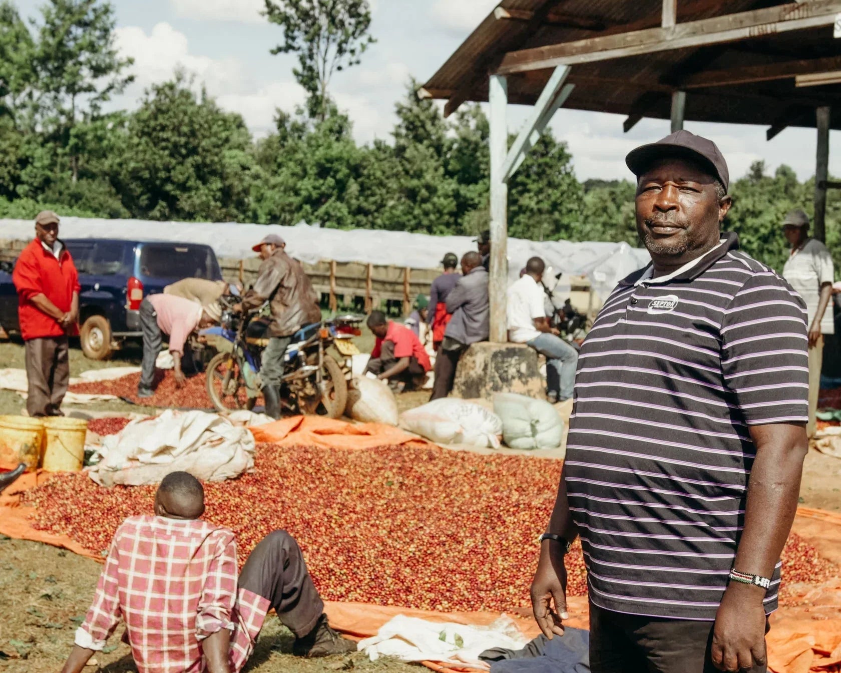 Magia kenijskiej filiżanki – jak smakują kawy z Kenii?