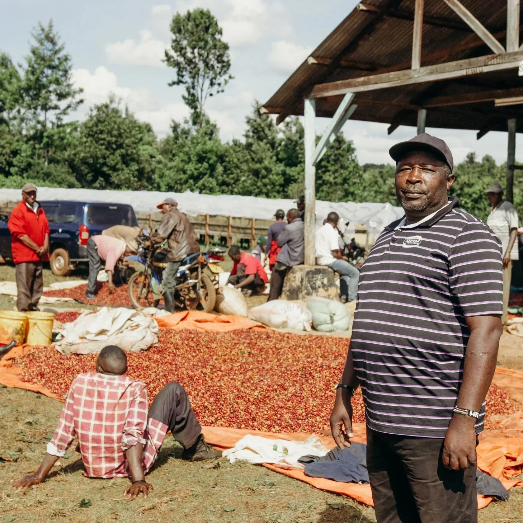 Magia kenijskiej filiżanki – jak smakują kawy z Kenii?