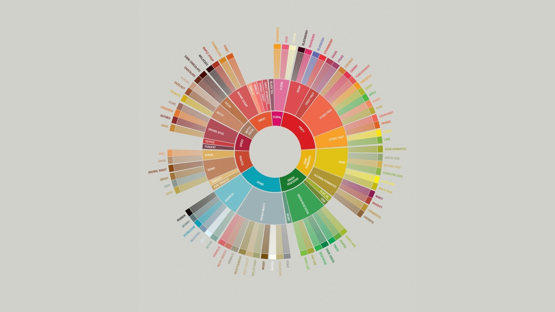 Certyfikaty i oceny kawy specialty – jak działa skala SCA?