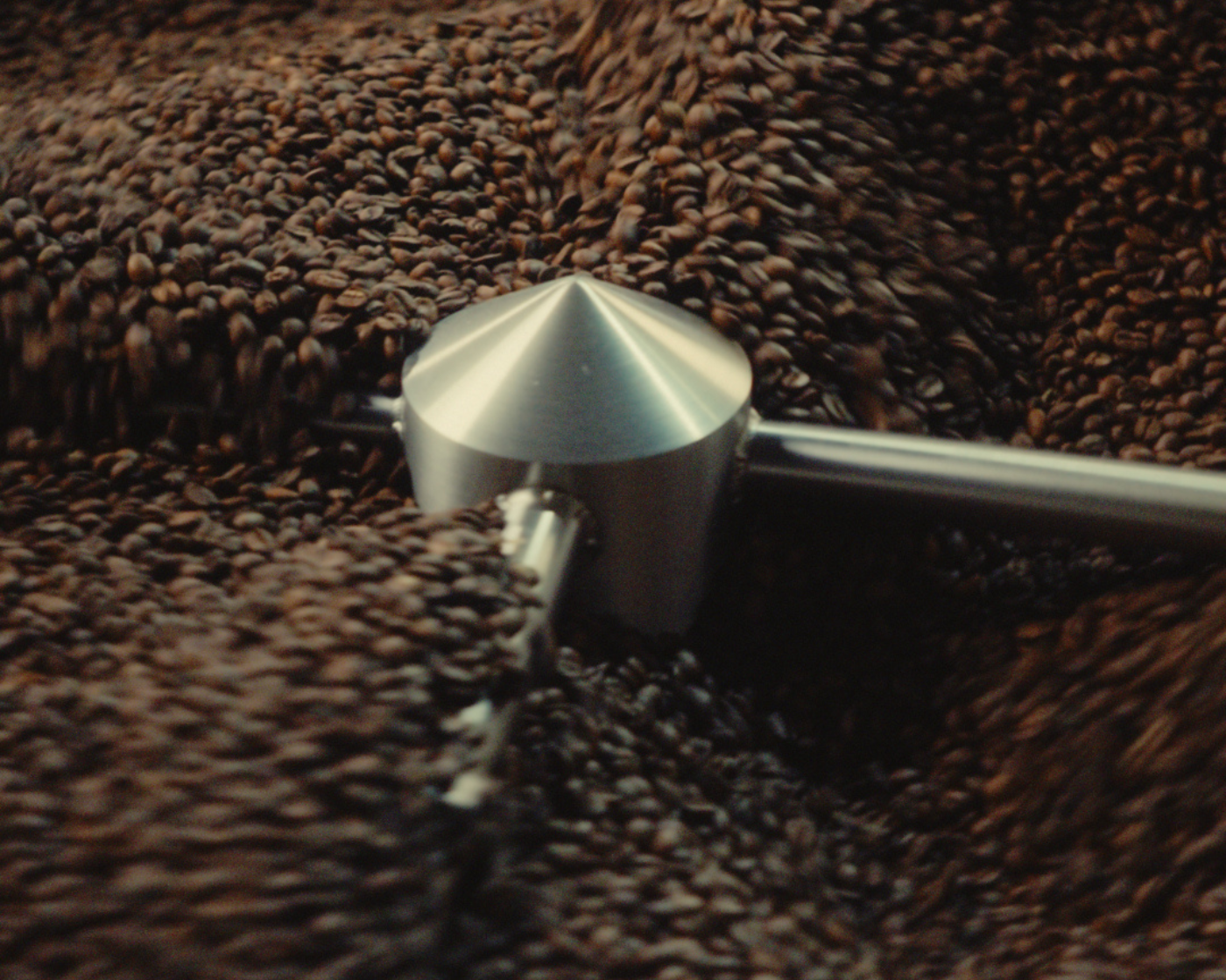 Znaczenie świeżości ziaren po paleniu