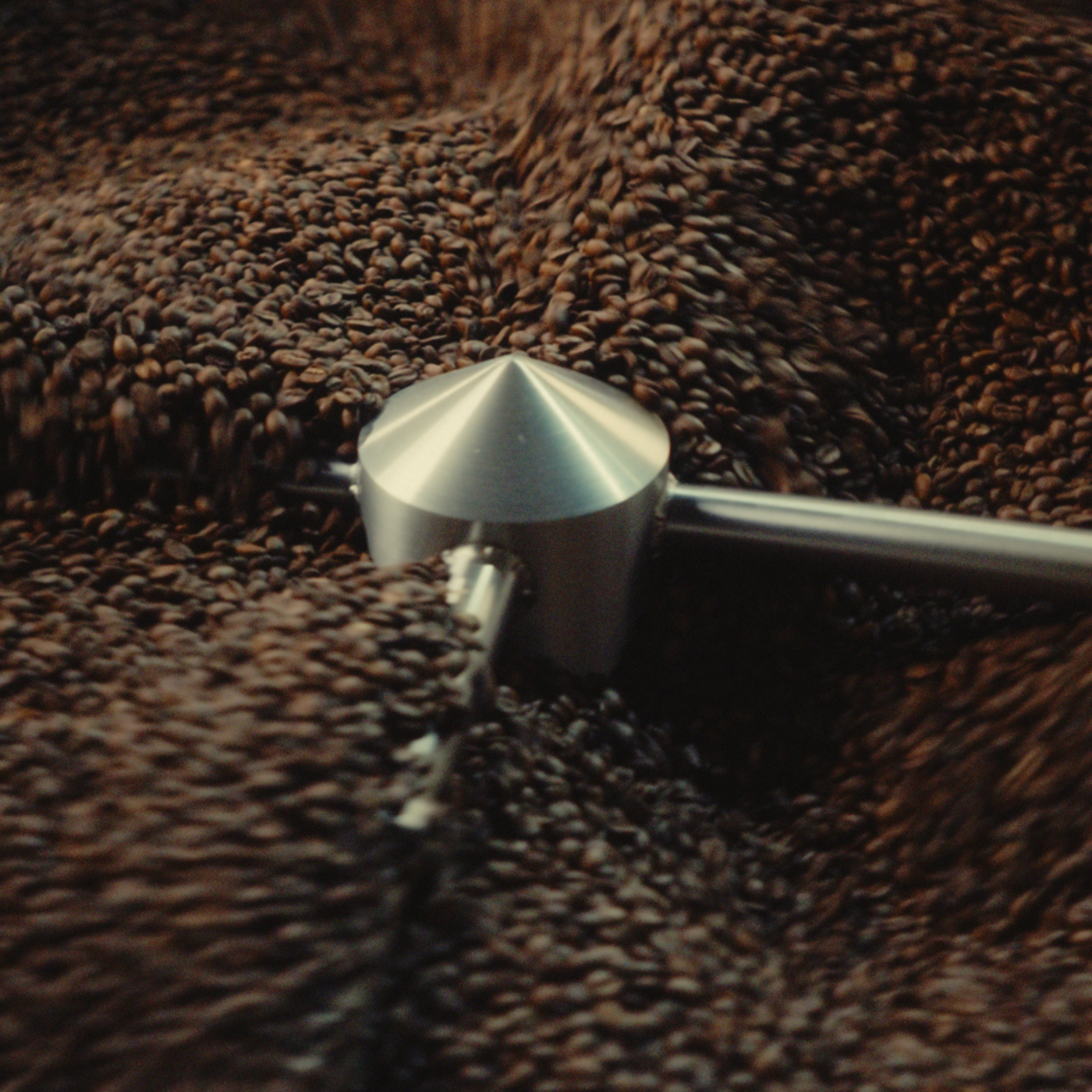 Znaczenie świeżości ziaren po paleniu