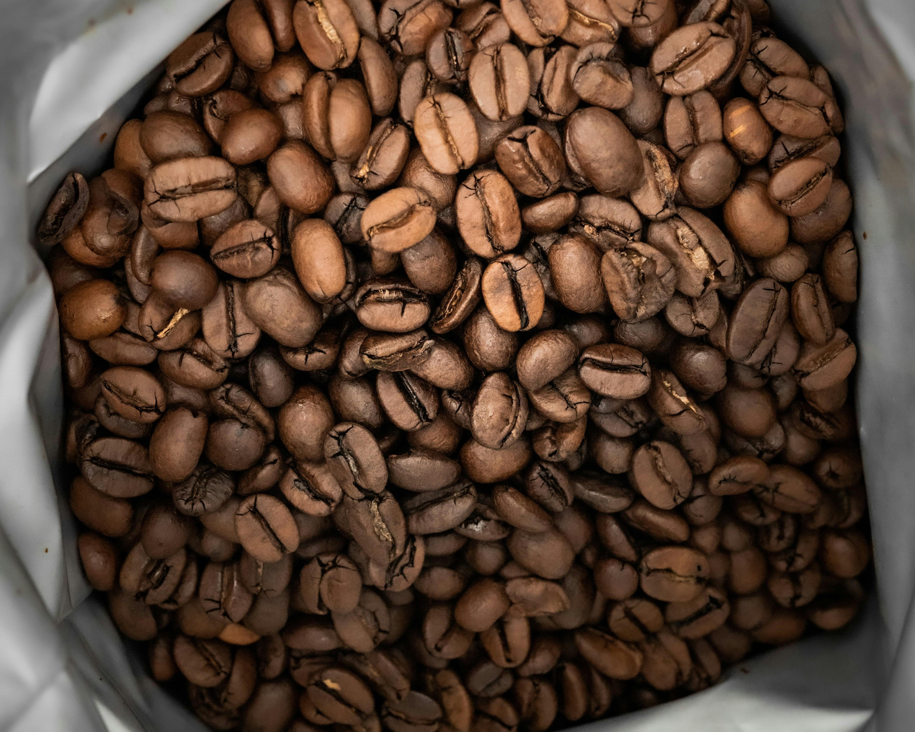 Jak prawidłowo przechowywać kawę specialty? Ekspercki przewodnik