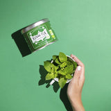 Spearmint Green Tea Bio