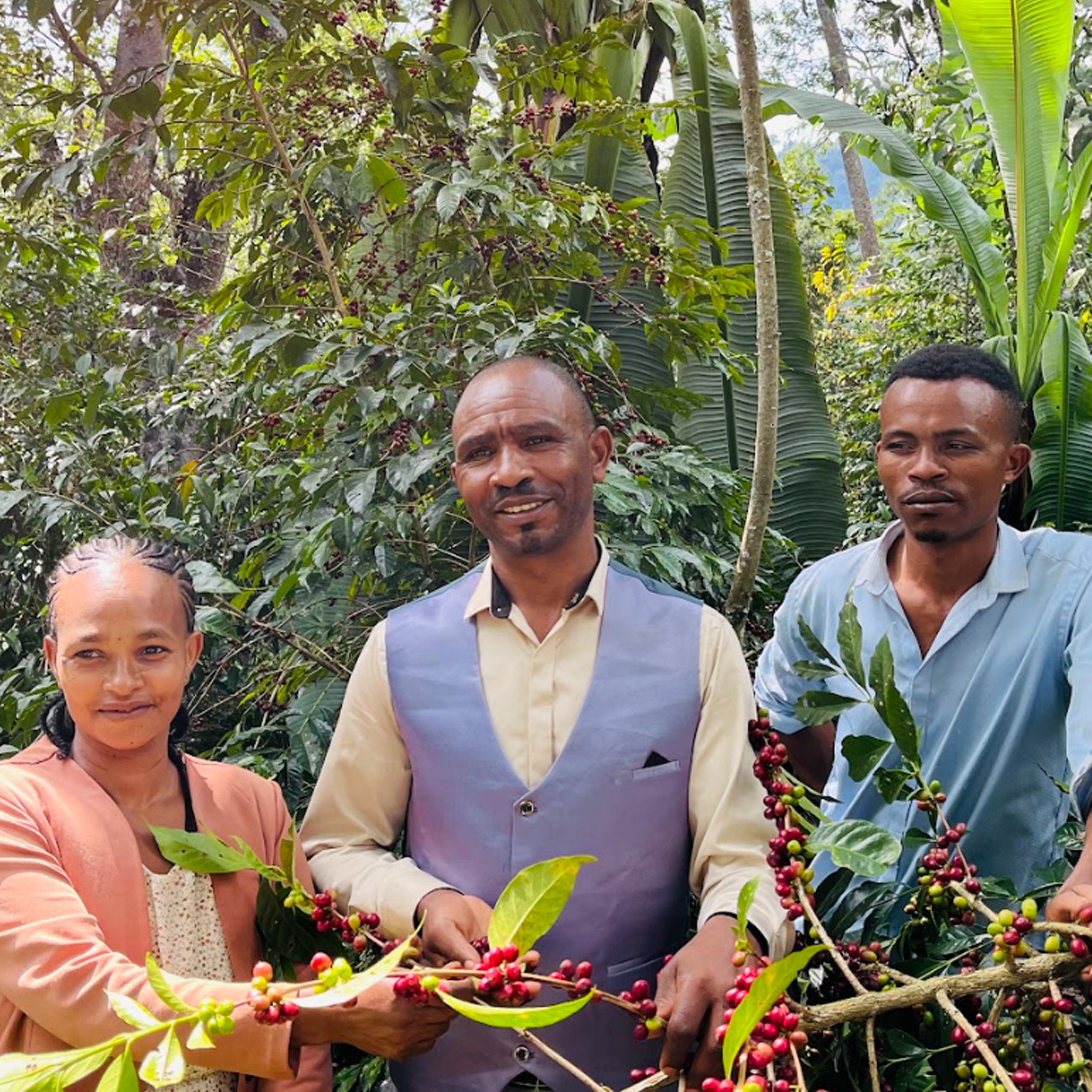 Ethiopia Alemayehu Daniel