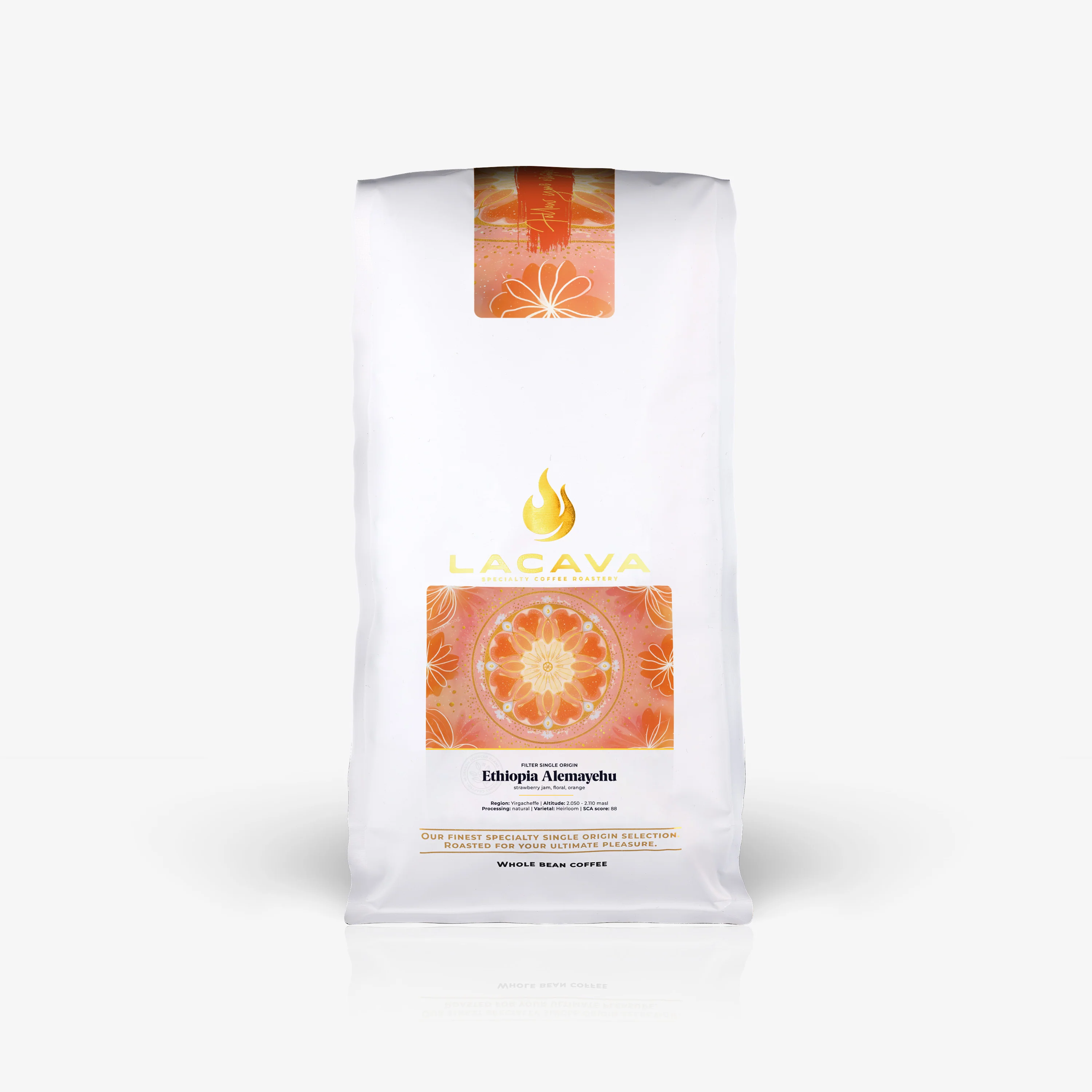 Ethiopia Alemayehu Daniel