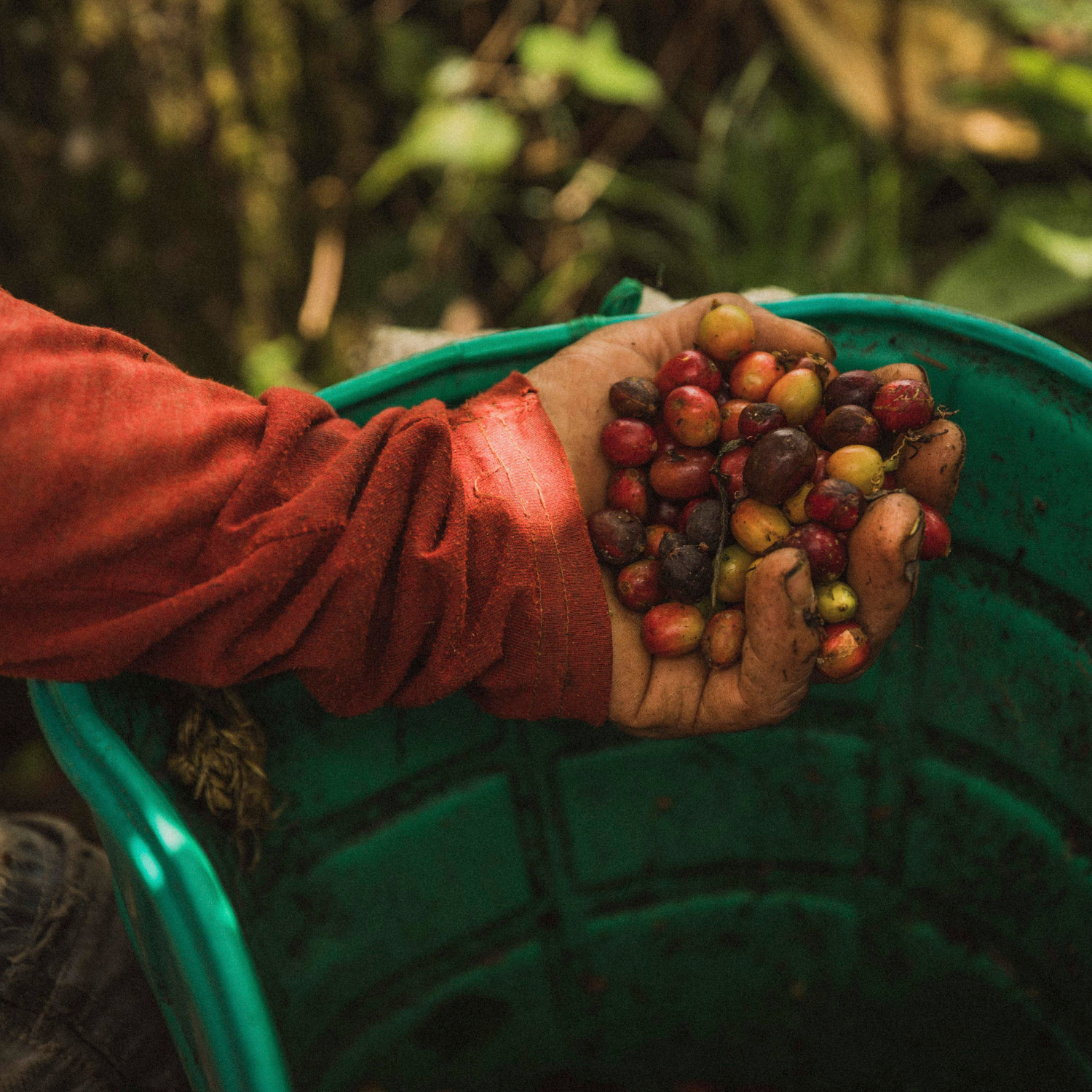 Colombia Nestor Lasso