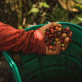Colombia Nestor Lasso