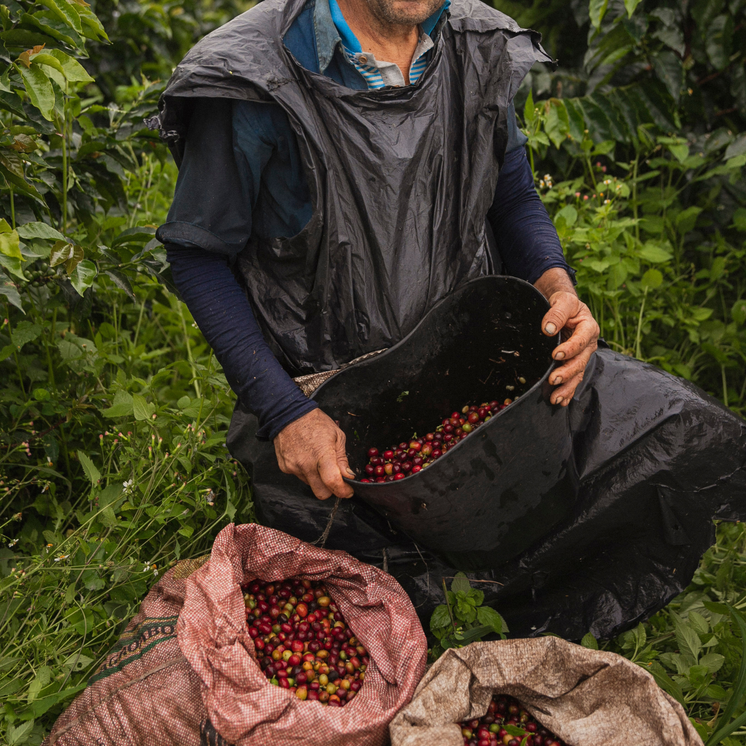 Colombia Nestor Lasso