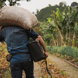 Colombia Vergara Ayure