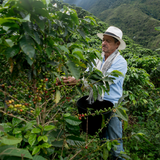 Colombia Vergara Ayure
