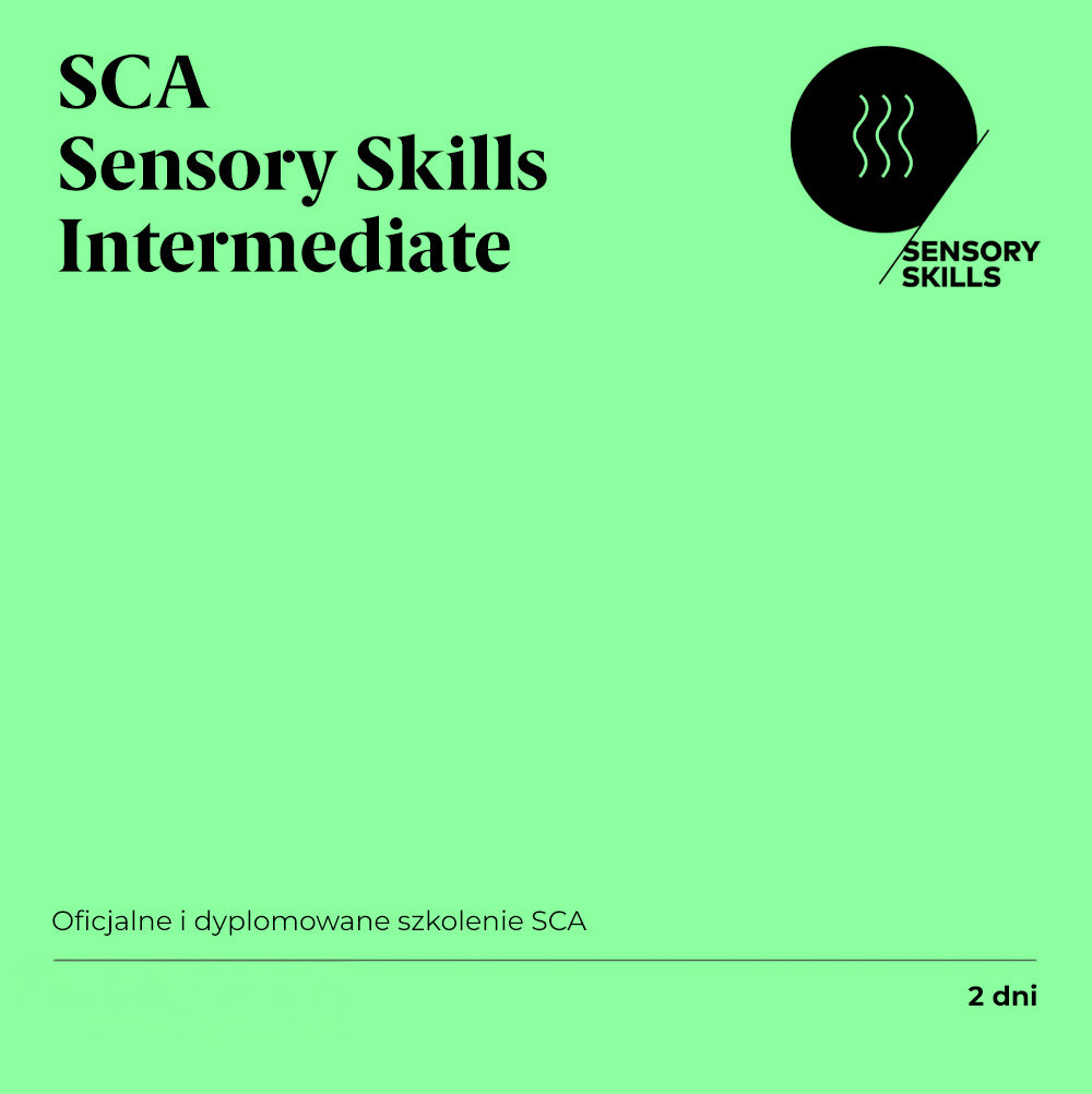 Sensory Skills Intermediate